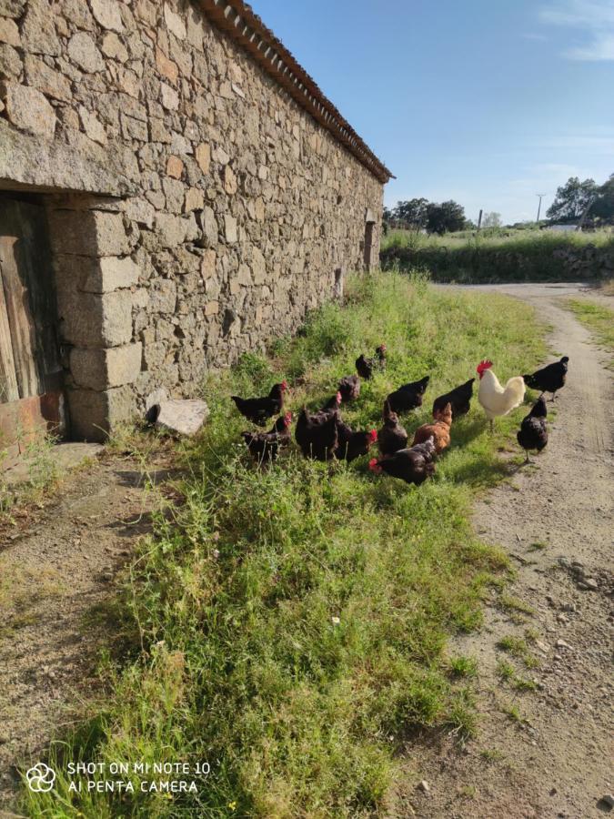 Сasa de vacaciones Tu Casa De Pueblo