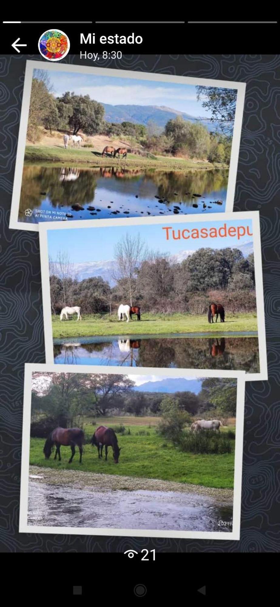 Tu Casa De Pueblo Holiday home